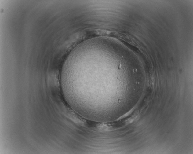 X0000063450616200601271541