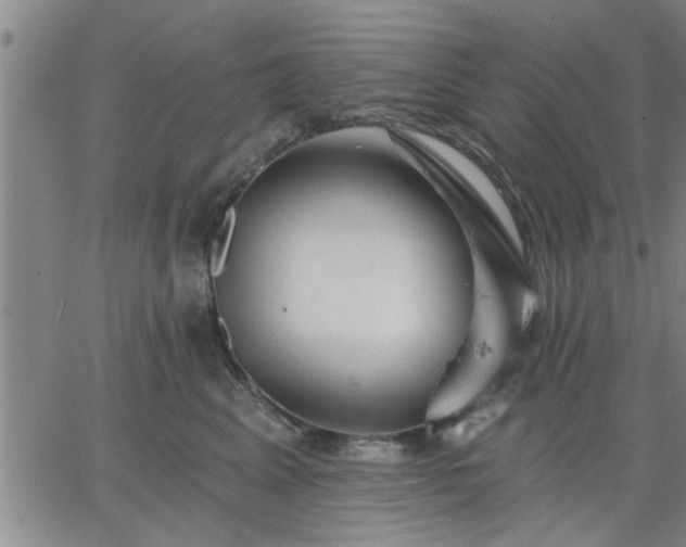 X0000063450617200601271541