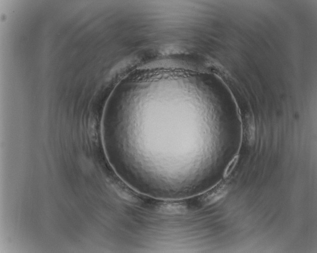 X0000063450619200601271541