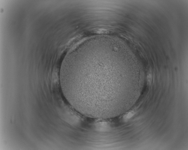 X0000063450620200601271541