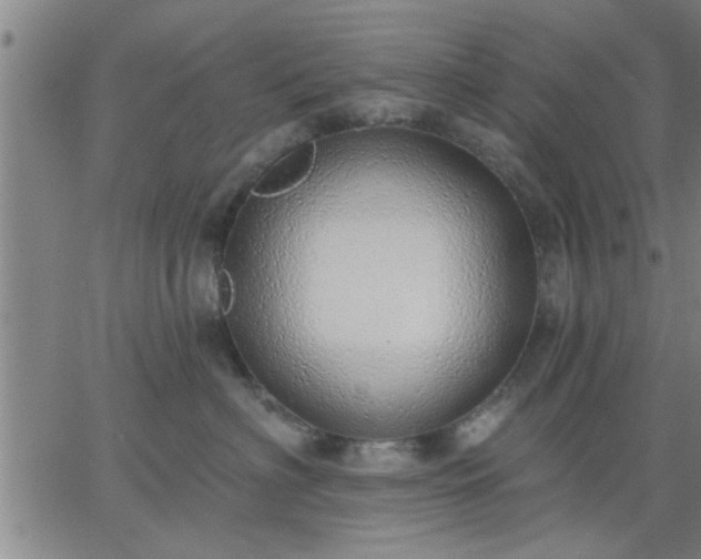 X0000063450622200601271541