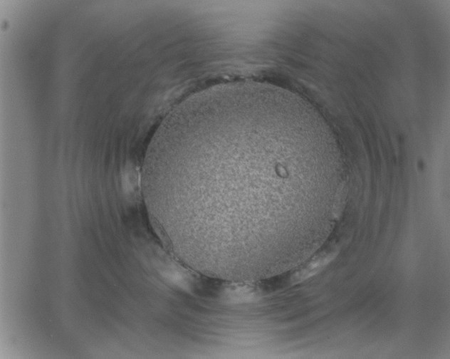 X0000063450624200601271540