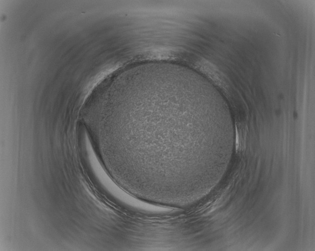 X0000063450627200601271540