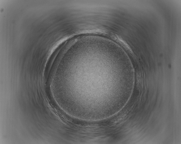 X0000063450628200601271540