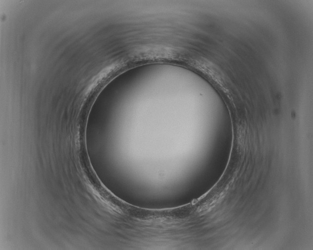 X0000063450629200601271540