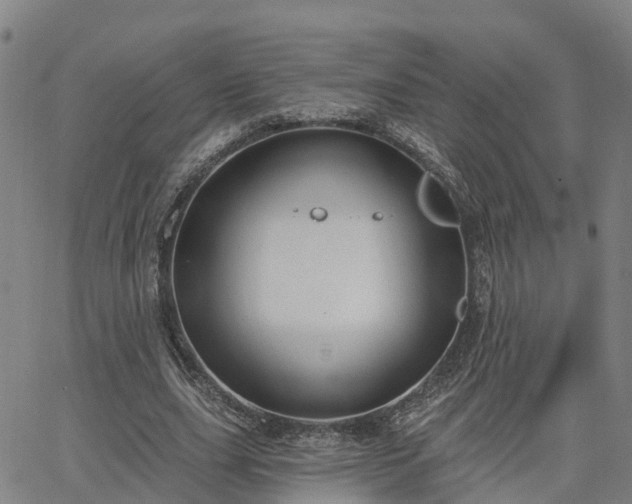 X0000063450631200601271540