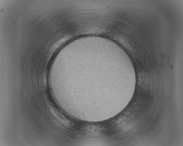 X0000063450632200601271540