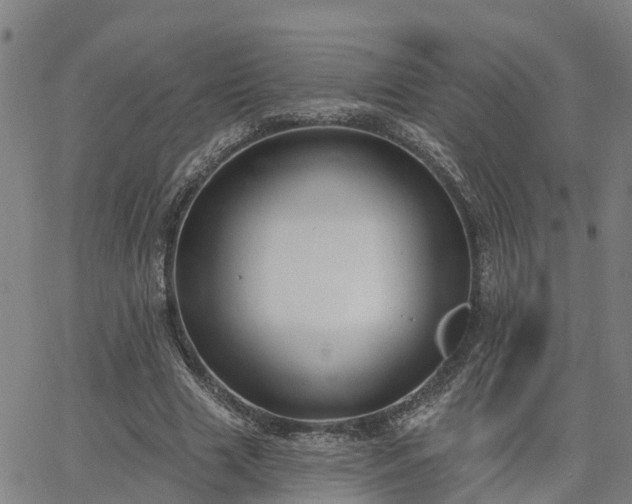 X0000063450633200601271540