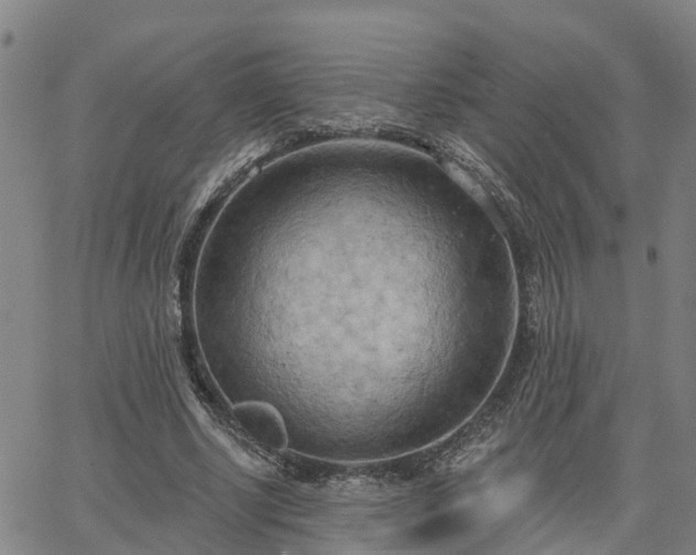 X0000063450634200601271540