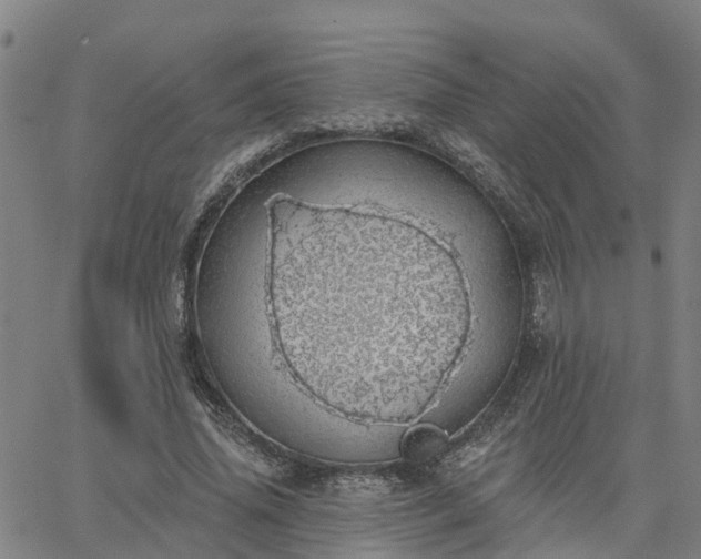 X0000063450636200601271540