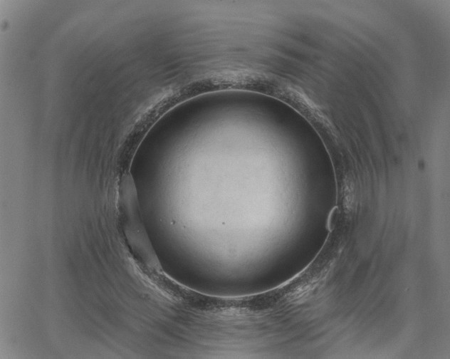 X0000063450637200601271540