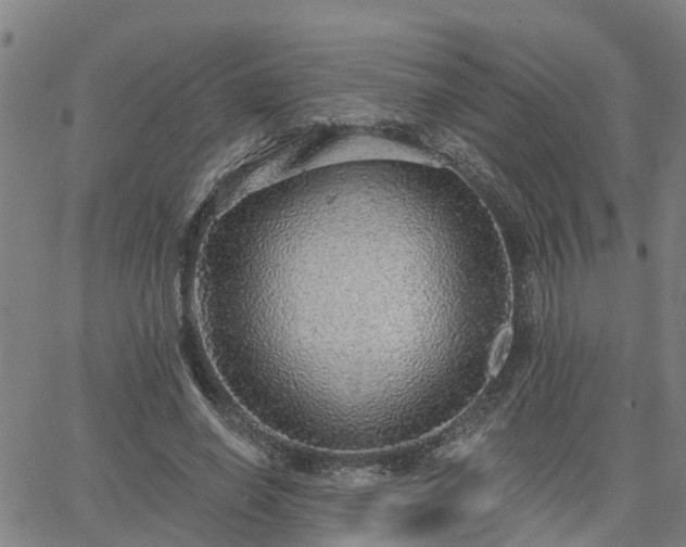 X0000063450638200601271540