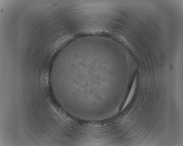 X0000063450640200601271540