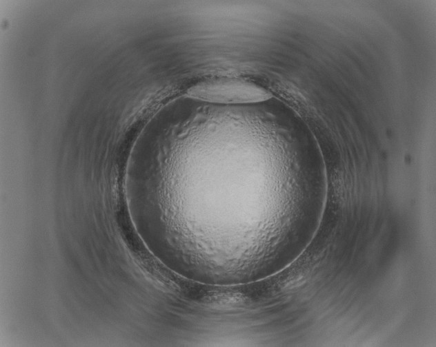 X0000063450642200601271540