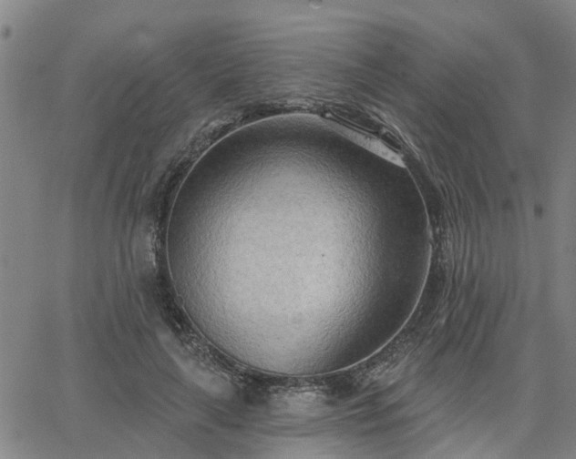 X0000063450643200601271540