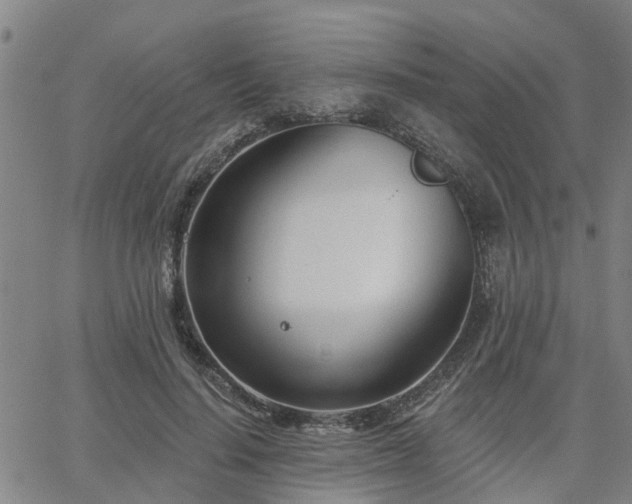 X0000063450644200601271540