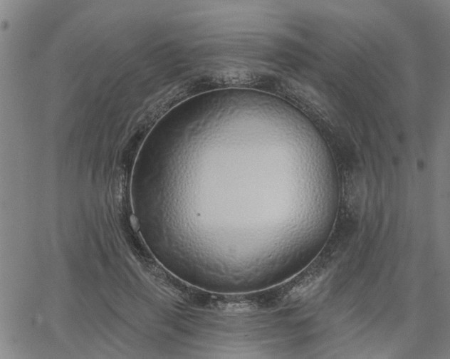 X0000063450645200601271540