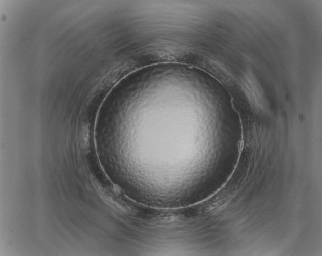 X0000063450646200601271540