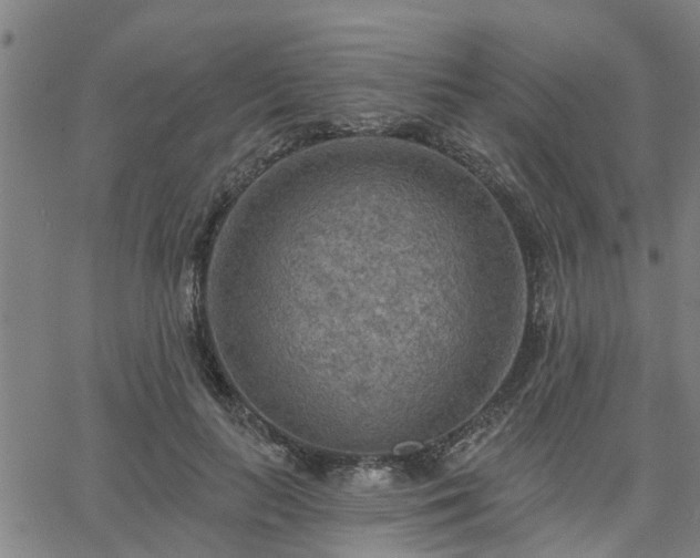 X0000063450647200601271540