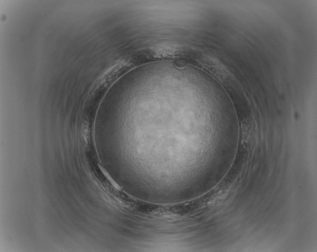 X0000063450648200601271540