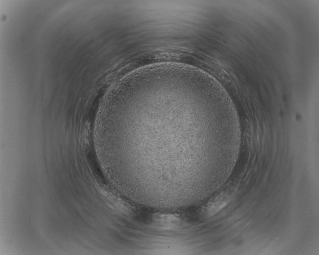 X0000063450649200601271540