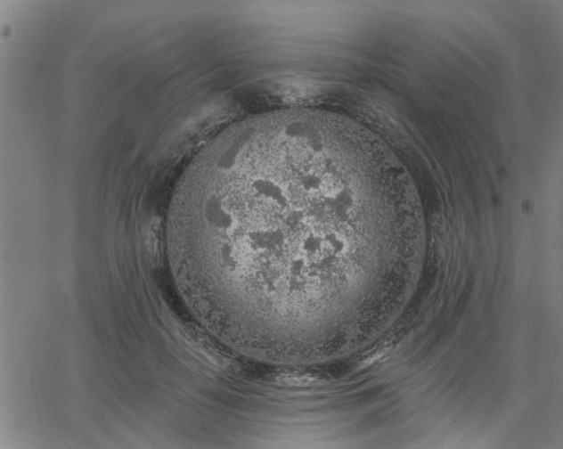 X0000063450650200601271540