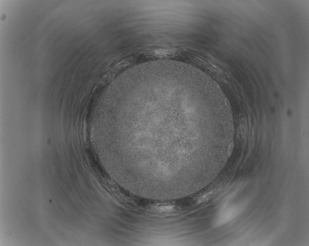 X0000063450651200601271540