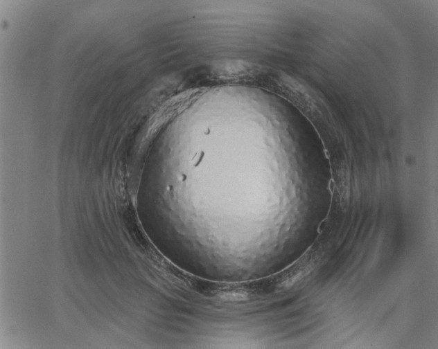 X0000063450653200601271540