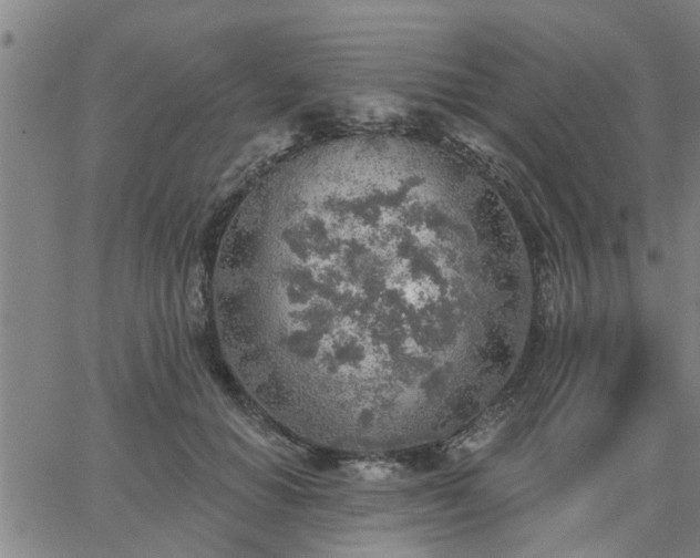 X0000063450654200601271540