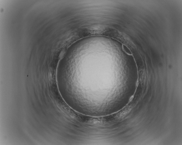 X0000063450655200601271540