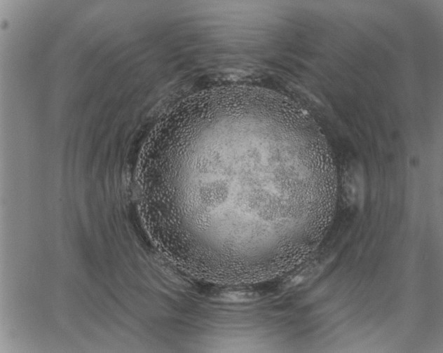 X0000063450657200601271540