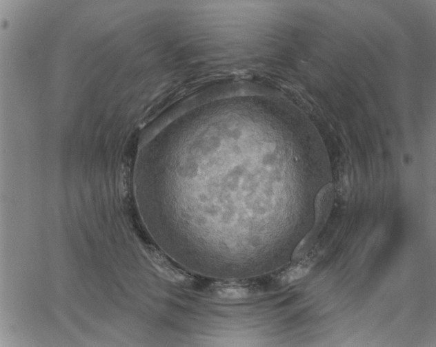 X0000063450658200601271540