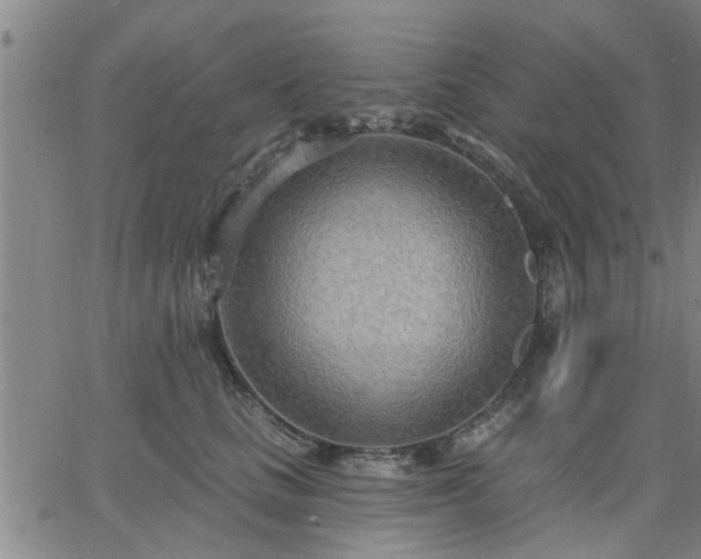 X0000063450661200601271540