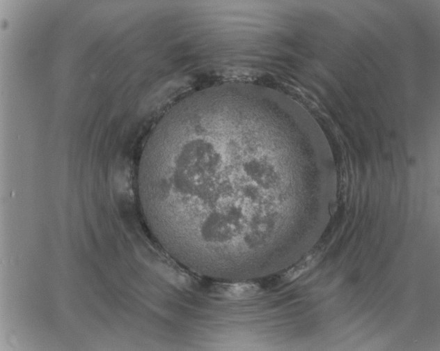 X0000063450663200601271540