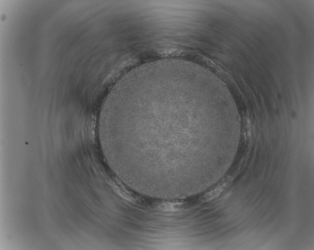 X0000063450664200601271540