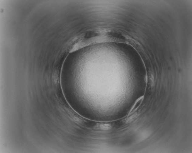 X0000063450665200601271540