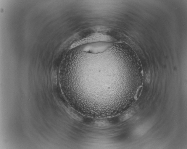 X0000063450666200601271540