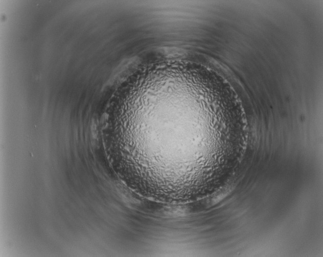 X0000063450667200601271540