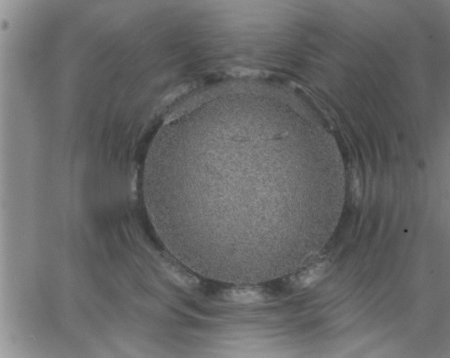 X0000063450668200601271540