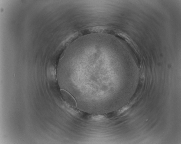 X0000063450669200601271540