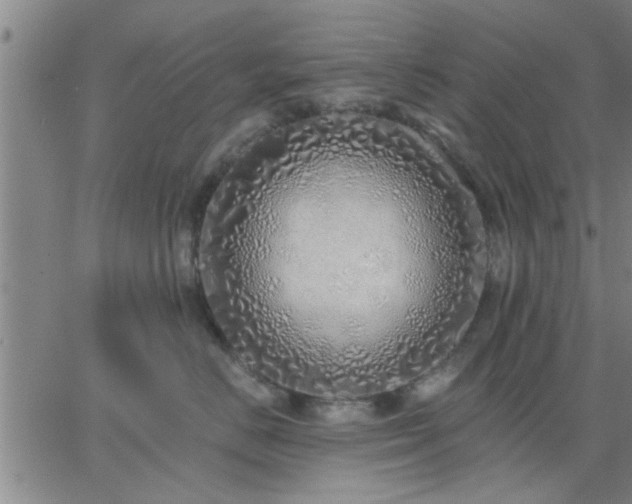 X0000063450670200601271540