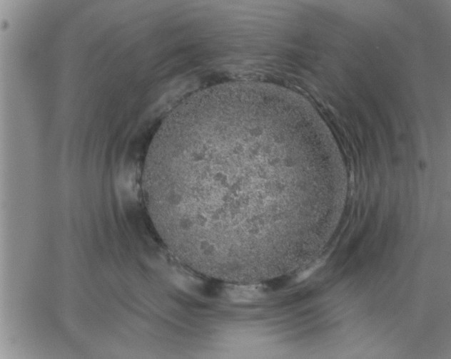 X0000063450671200601271540