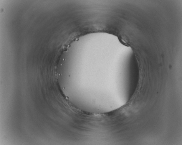 X0000063450672200601271540