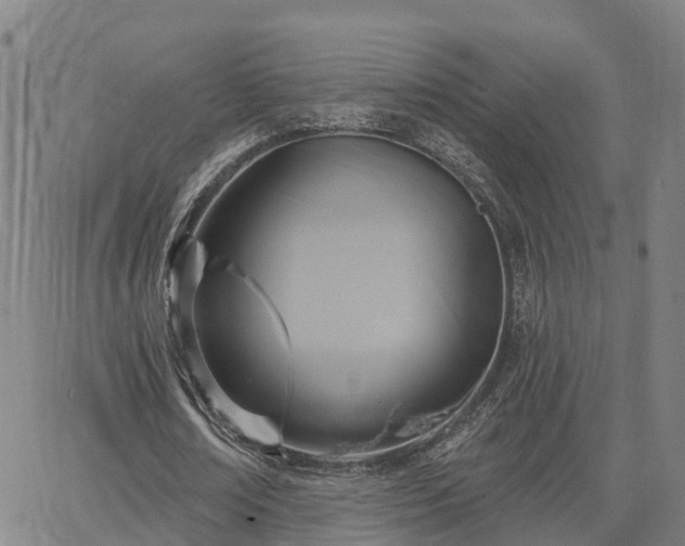 X0000063450674200601271540