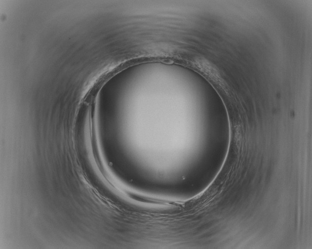 X0000063450676200601271540