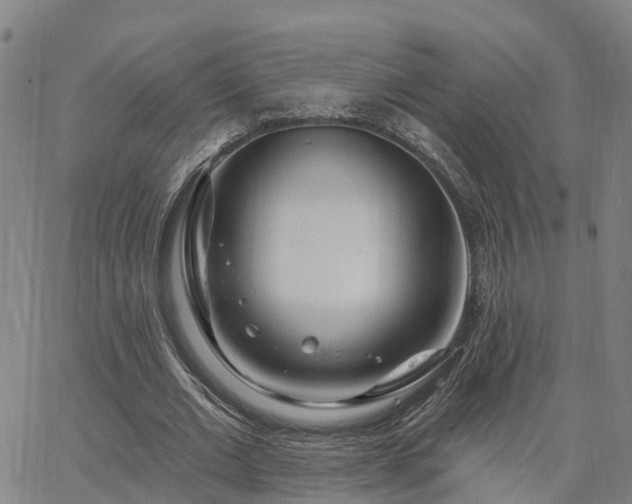 X0000063450677200601271540