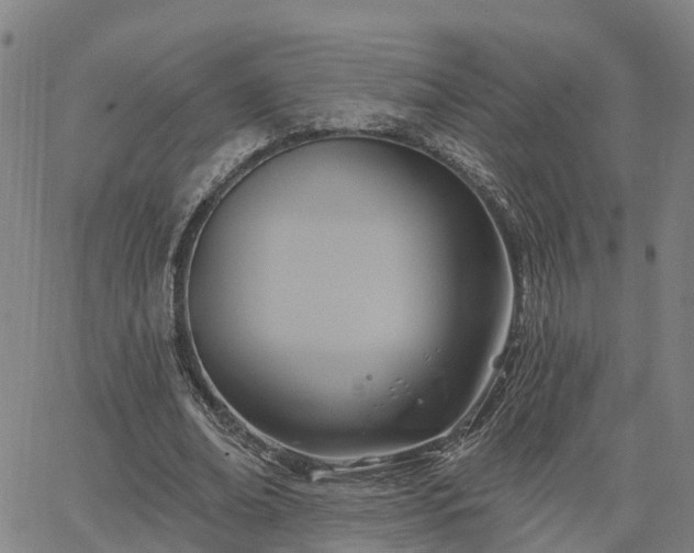 X0000063450678200601271539