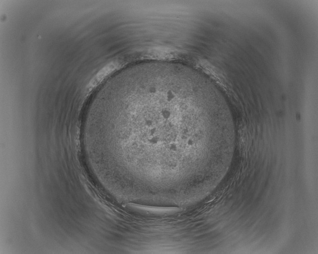 X0000063450679200601271539