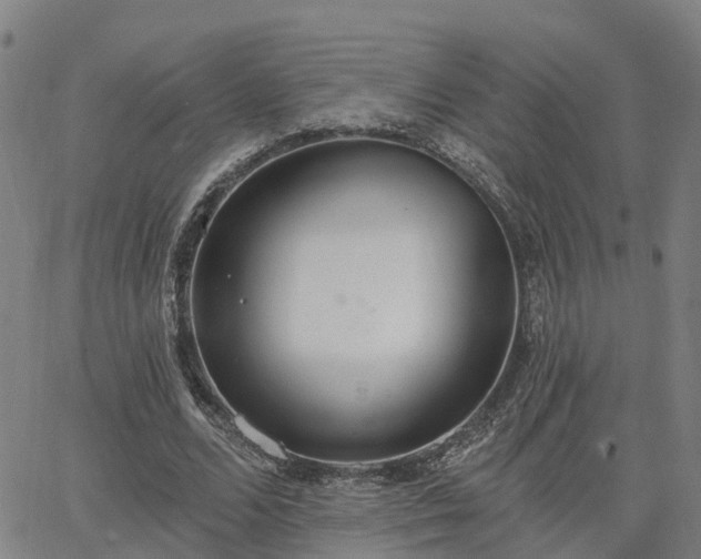 X0000063450680200601271539