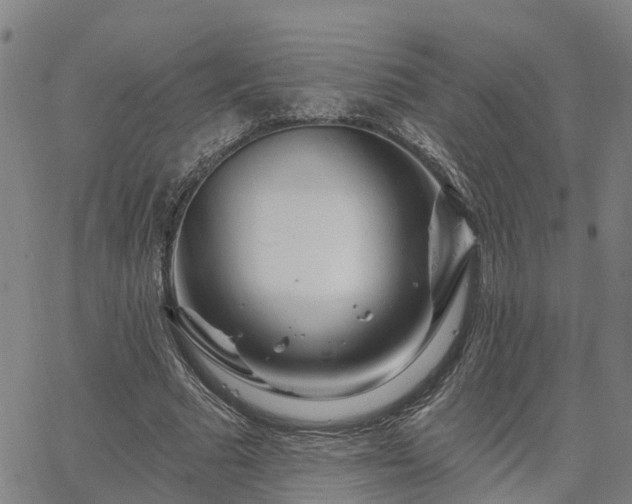 X0000063450681200601271539